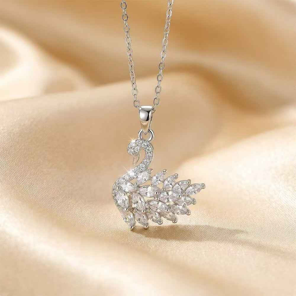 803696717-4